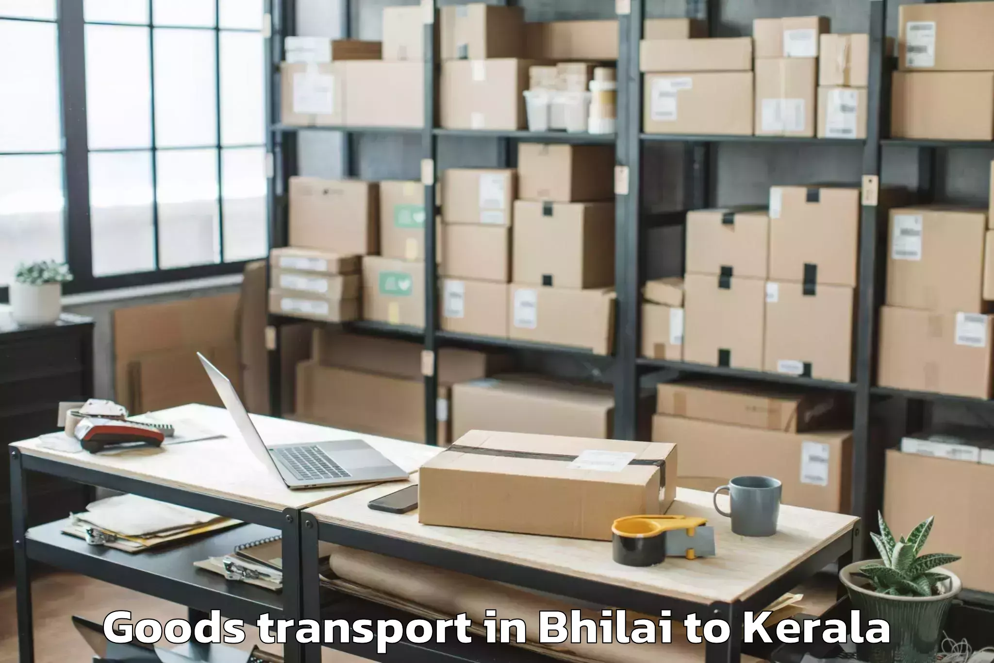 Bhilai to Thiruvananthapuram Internation Goods Transport